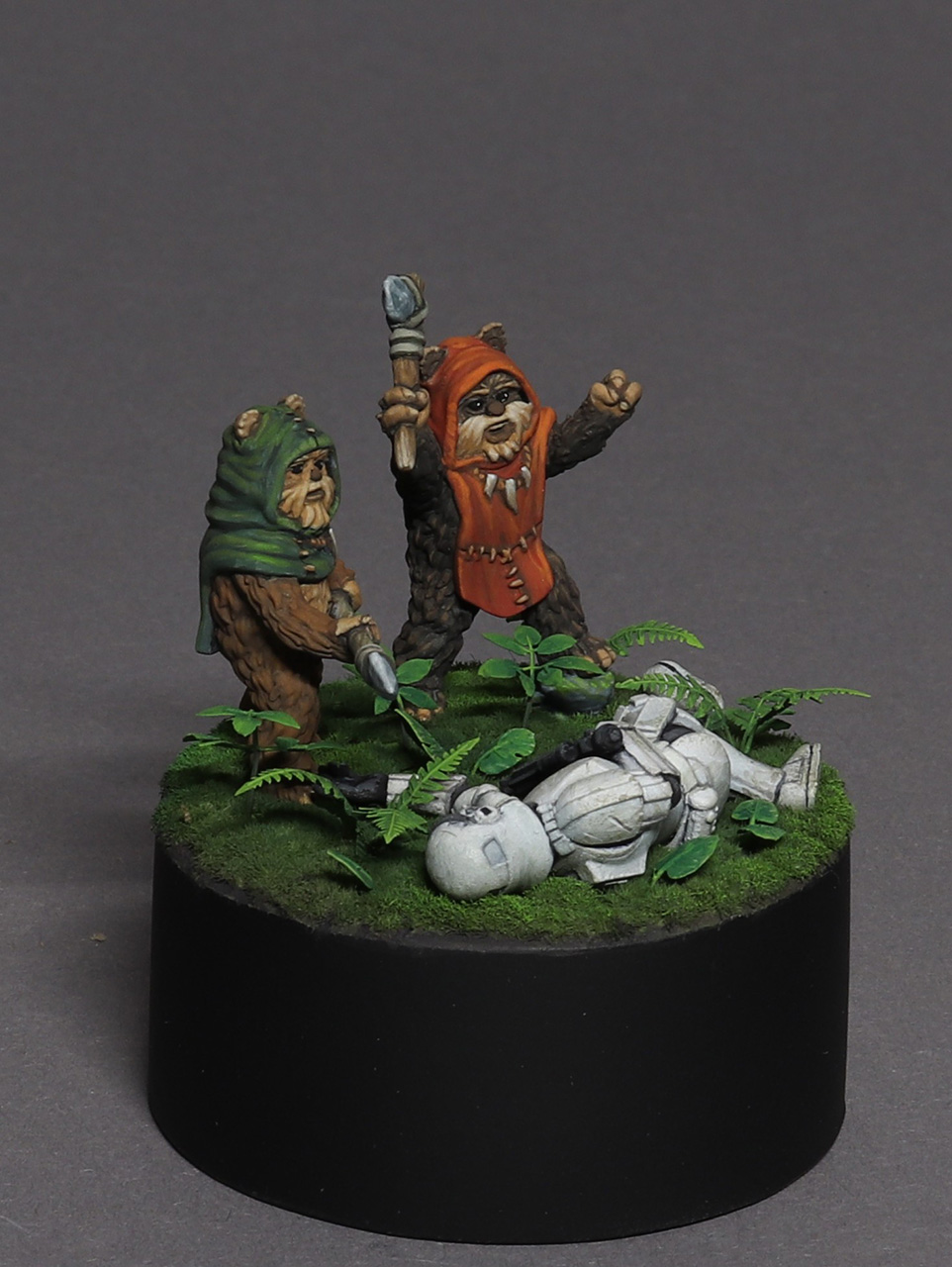 Miscellaneous: Ewoks, photo #2