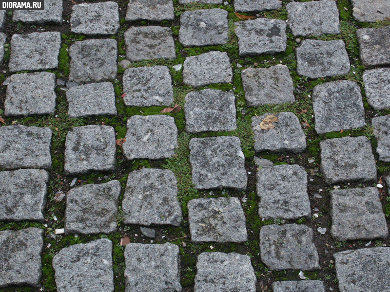 Square pavement, Cologne, West Germany (Library Diorama.Ru)