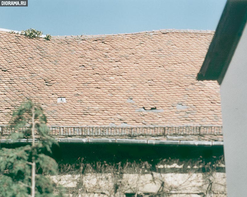 Фрагмент черепичной крыши старого овина., Кронберг, Западная Германия (Копилка Diorama.Ru)