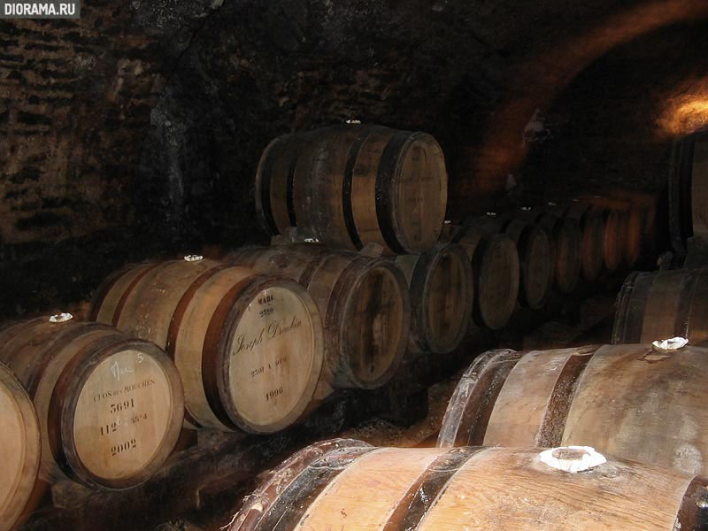 Wine barrels, Bon, Burgundia, France (Library Diorama.Ru)