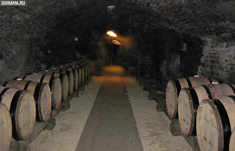 Wine cellar, Bon, Burgundia, France (Library Diorama.Ru)