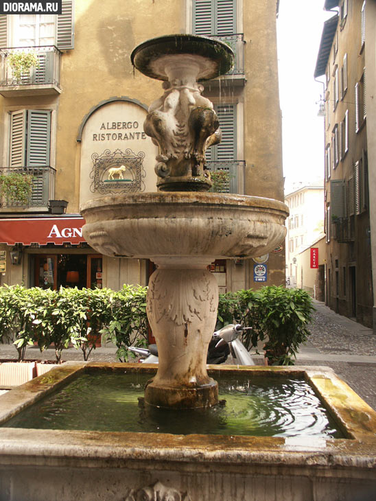 Уличный фонтан, Бергамо (Копилка Diorama.Ru)