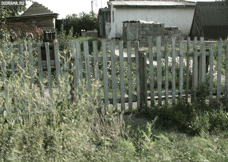 Дощатый забор, хутор Калинин, Ростовская область (Копилка Diorama.Ru)