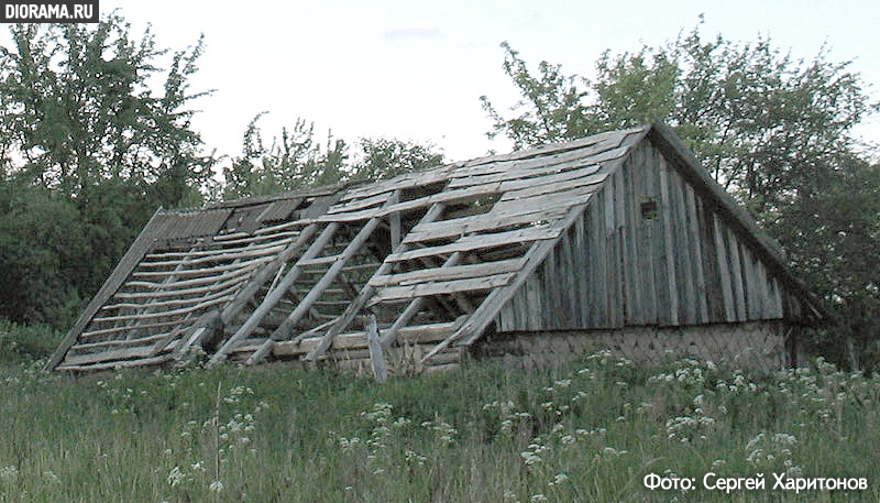 Abandoned wooden barn, Romanovka village, Kaluga region, Russia (Library Diorama.Ru)