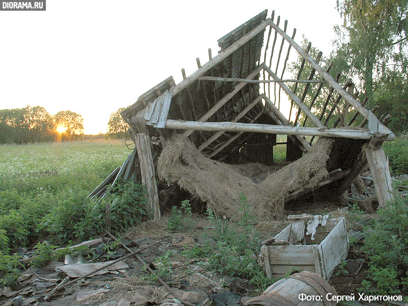 Ruinous wooden barn, Romanovka village, Kaluga region, Russia (Library Diorama.Ru)