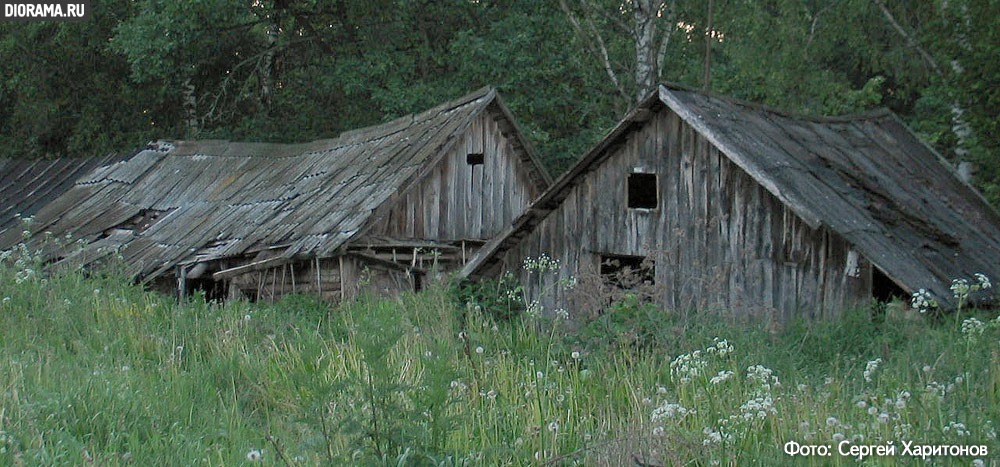 Abandoned wooden barn, Romanovka village, Kaluga region, Russia (Library Diorama.Ru)
