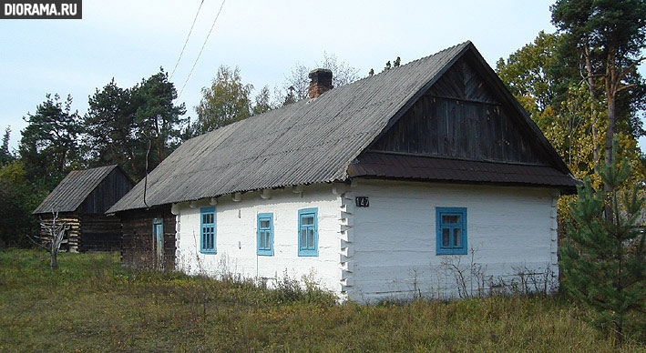 Wooden hut, Wolyn, Ukraine (Library Diorama.Ru)