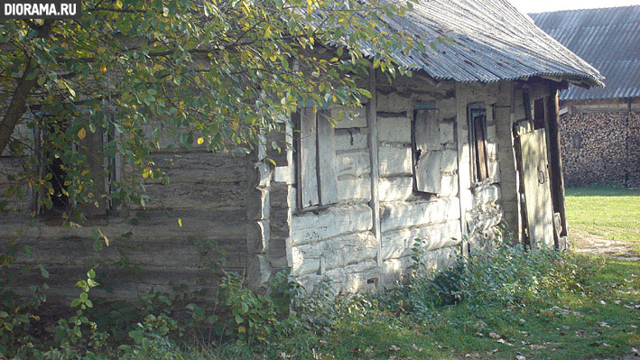 Wooden hut, Wolyn, Ukraine (Library Diorama.Ru)