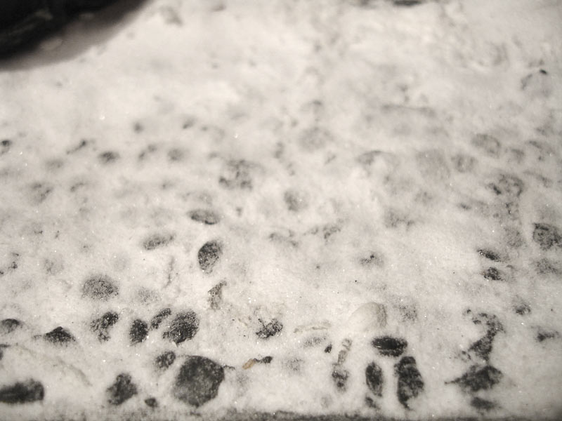 История одной работы: На улицах Харькова, фото #3