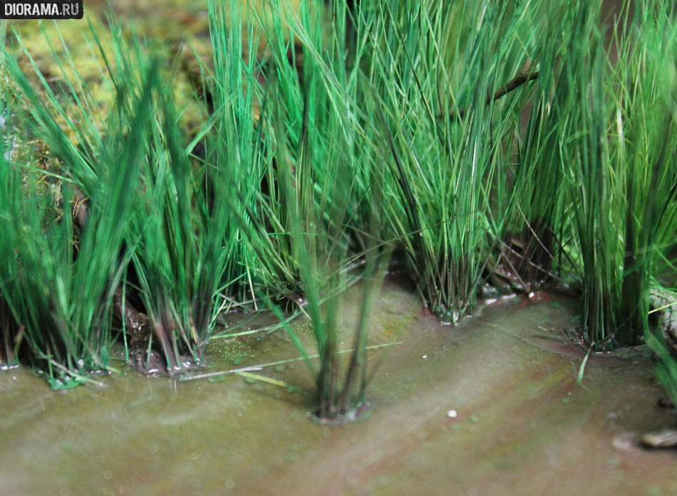 Features: Making a wetland, photo #43