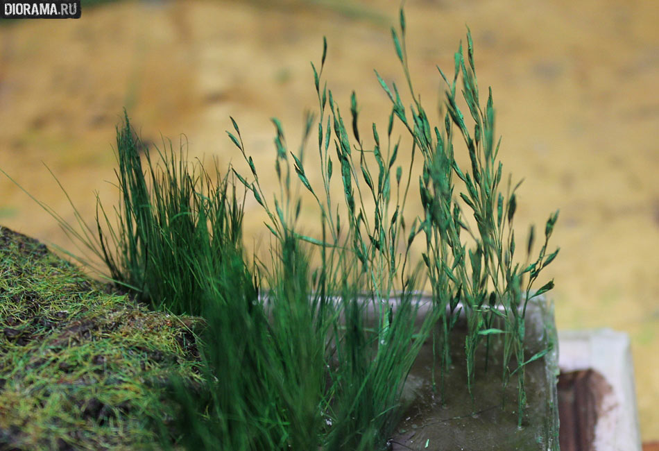 Features: Making a wetland, photo #52