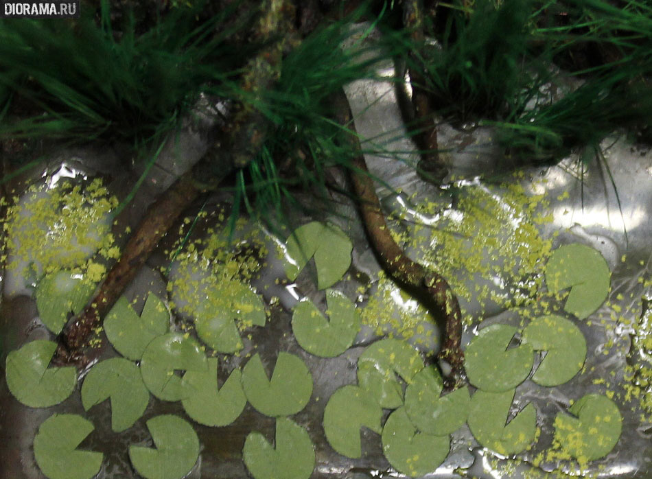 Features: Making a wetland, photo #57