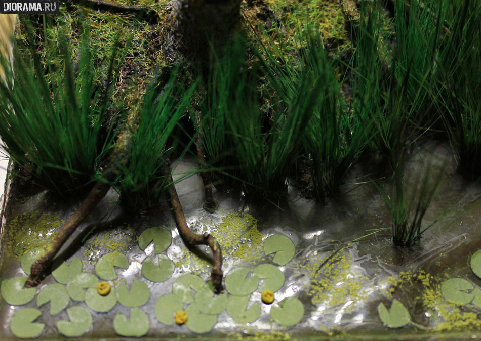 Features: Making a wetland, photo #60