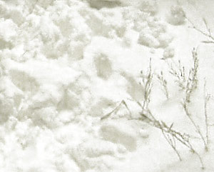 История одной работы: Рейд Ивана Гладченкова, фото #4