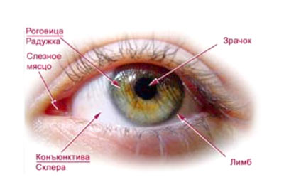 История одной работы: Киотская красавица, фото #6