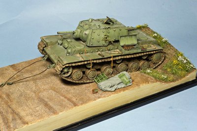 MG_9901.jpg